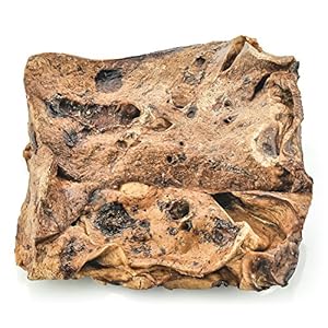 Greatest Bully Sticks Premium Lamb Puff Canine Treats (1.5 Pound Worth Pack) – All-Pure – Excessive in Protein & Low in Fats