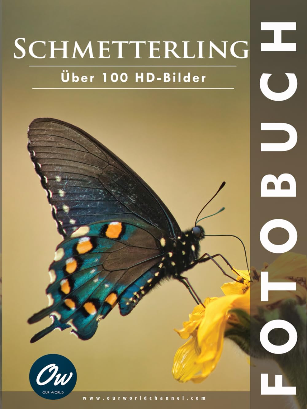 Schmetterling: Fotobuch - Über 100 HD-Bilder