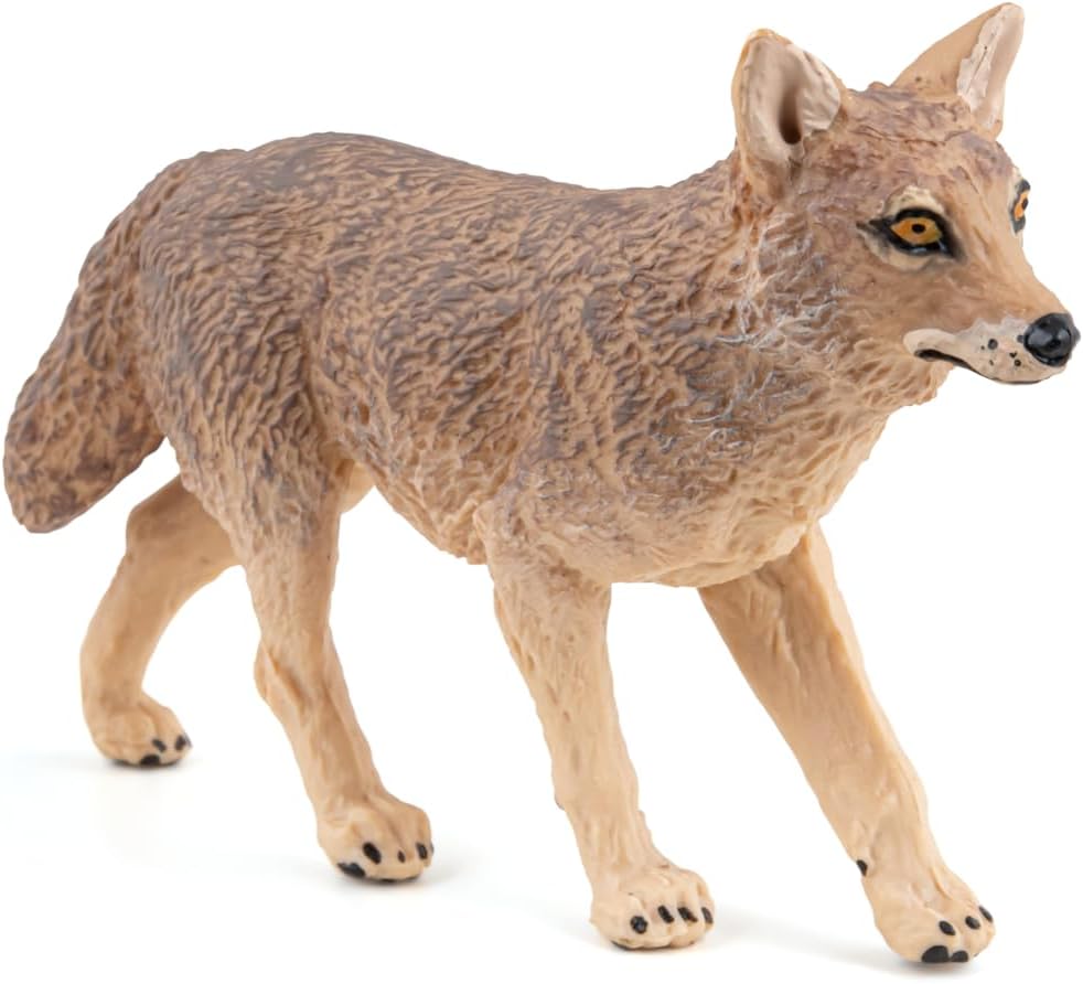 Papo - Realistic Jackal Figure - Ages 3+ - Wild Life Collection - Educational Play Wild Animals - Gift Idea Toy for Girls and Boys