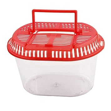 KTM Healthcare? Clear,Red : Household Decor Oval Design Aquarium Betta Fish Tank Pet Feed Box