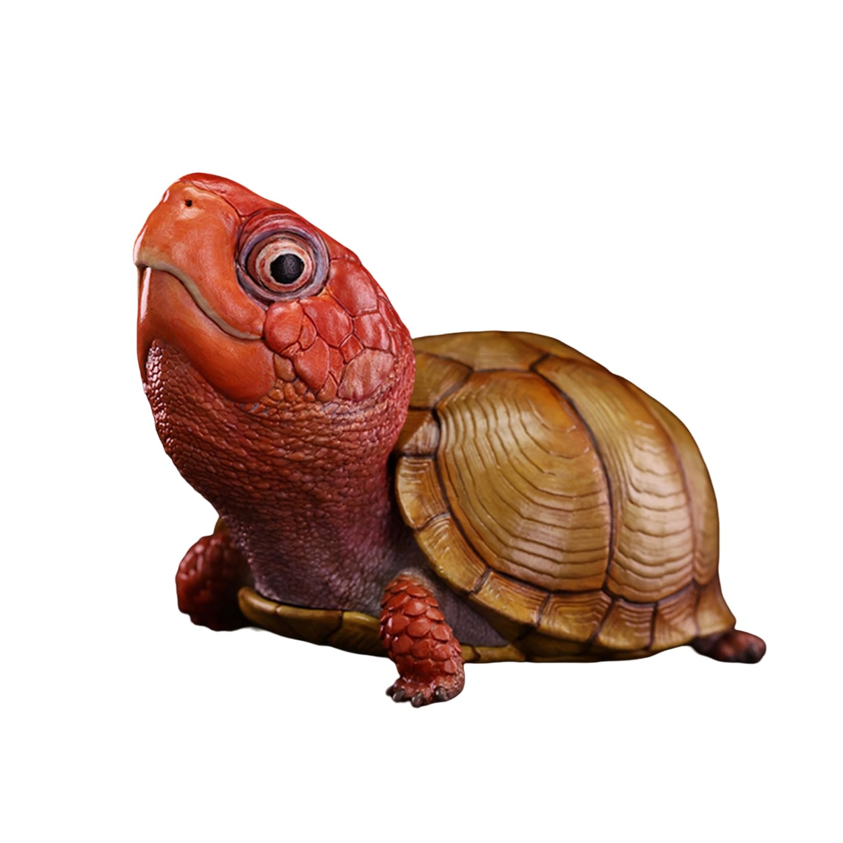 Amazon.co.jp: 動物惑星 第25弾 アメリカハコガメ フィギュア 6-8cm