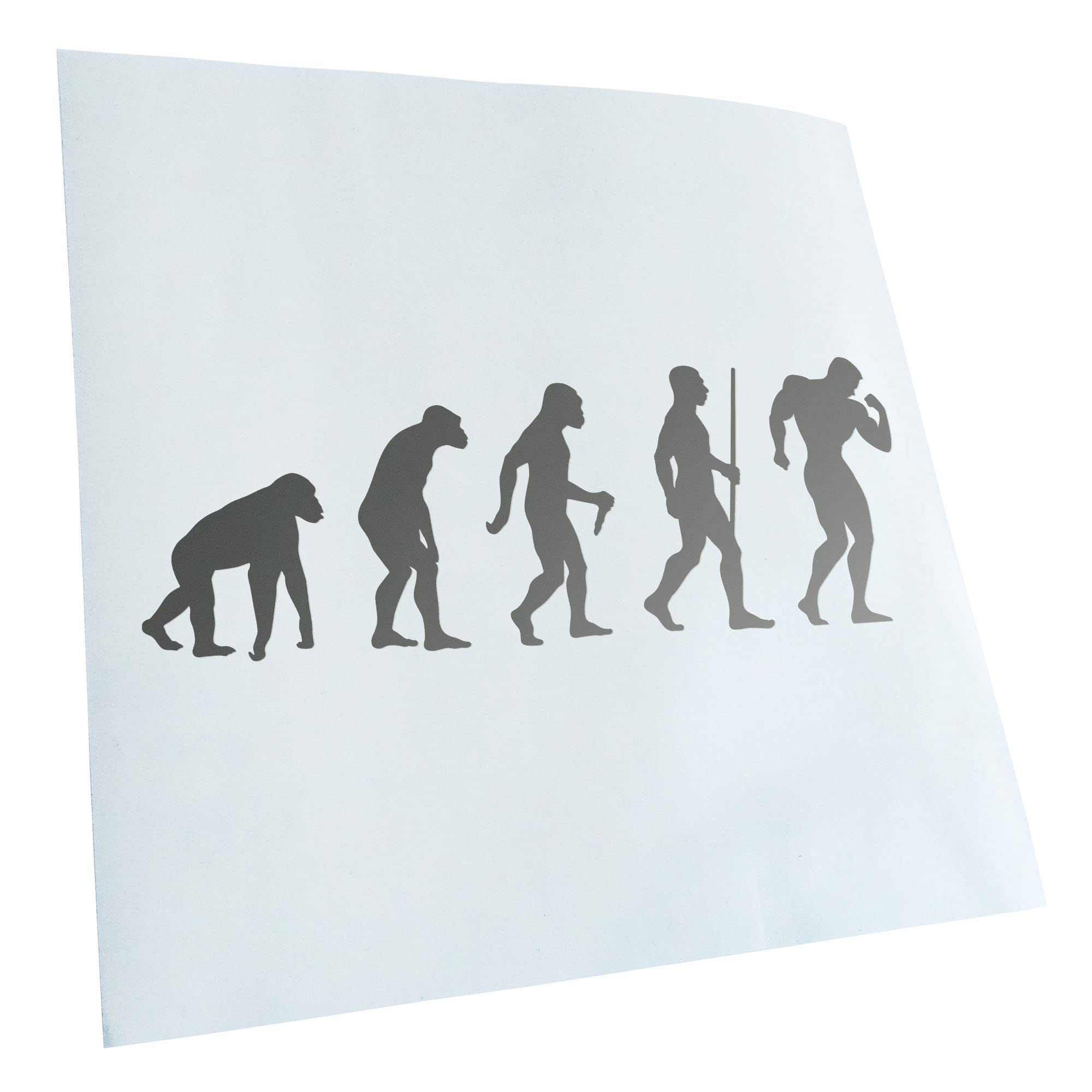 Kiwistar - Car Sticker - Bodybuilding Evolution - Silver - 30 x 11 cm - Rear Window Car Sticker Weatherproof for Car Truck Moped Truck - Sticker Exterior Self-Adhesive Tuning Accessories for Window