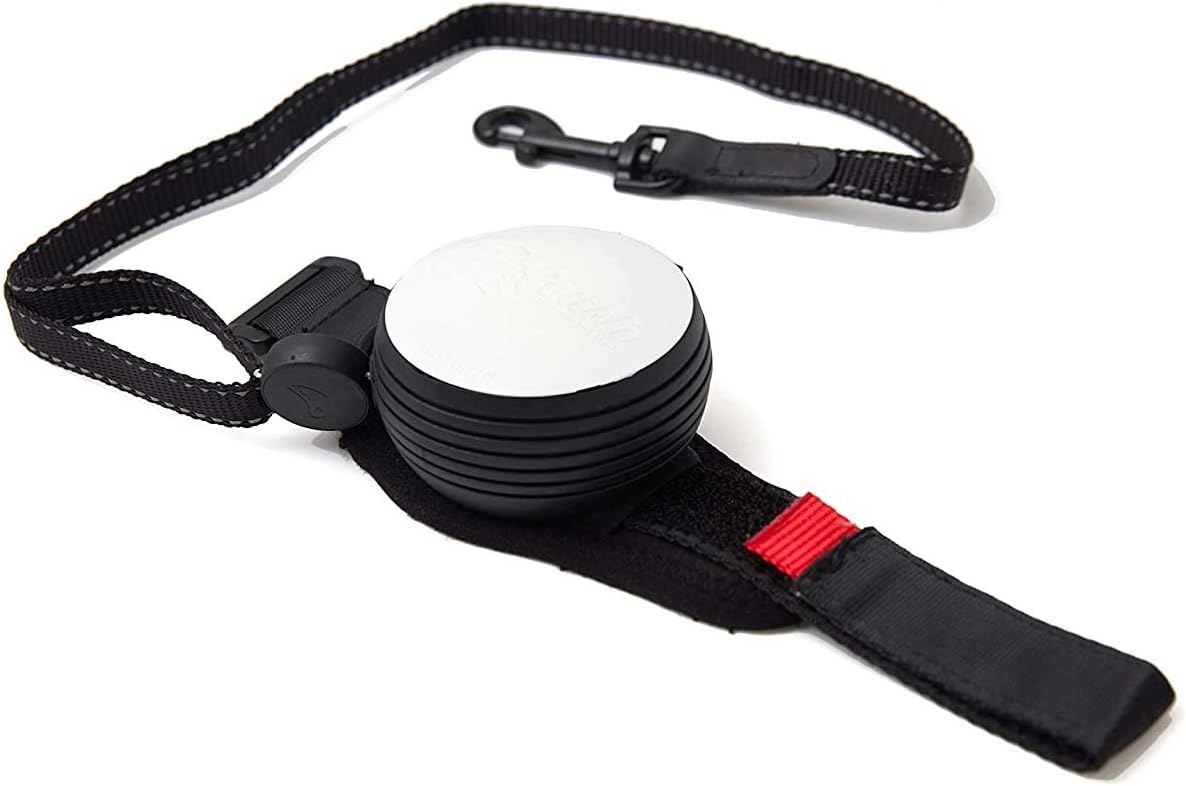ReLeash Retractable Dog Leash - Dog Walking Leash - Pet Training Jogging Hiking - 9 Foot Cord - Hands Free Leash for Running Dog -…
