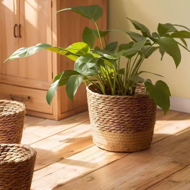 Cesto per piante in alghe marine moderne, fioriera da pavimento in tessuto, organizer per interni, decorazione rustica per la casa, cestino per la pancia, 3XL