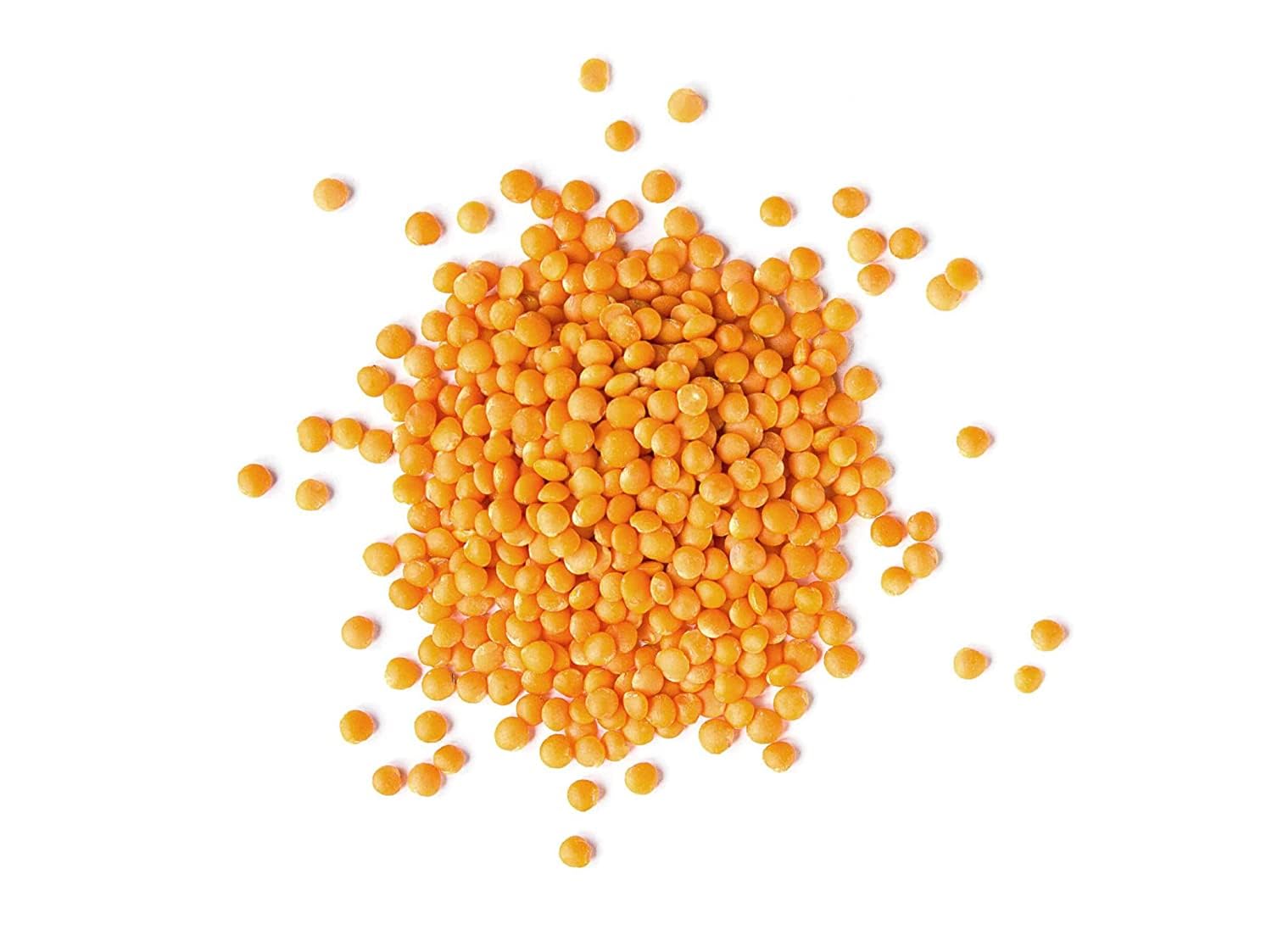 Food to Live Organic Red Split Lentils, 20 Pounds – Non-GMO Masoor Dal, Dried, Vegan, Kosher, Bulk, No Soaking Required, Perfect for Soups, Dal and Spicy Curries
