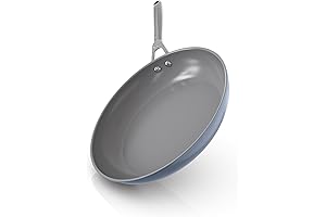 Ninja Foodi NeverStick Ceramic Pro 10 Inch Frying Pan
