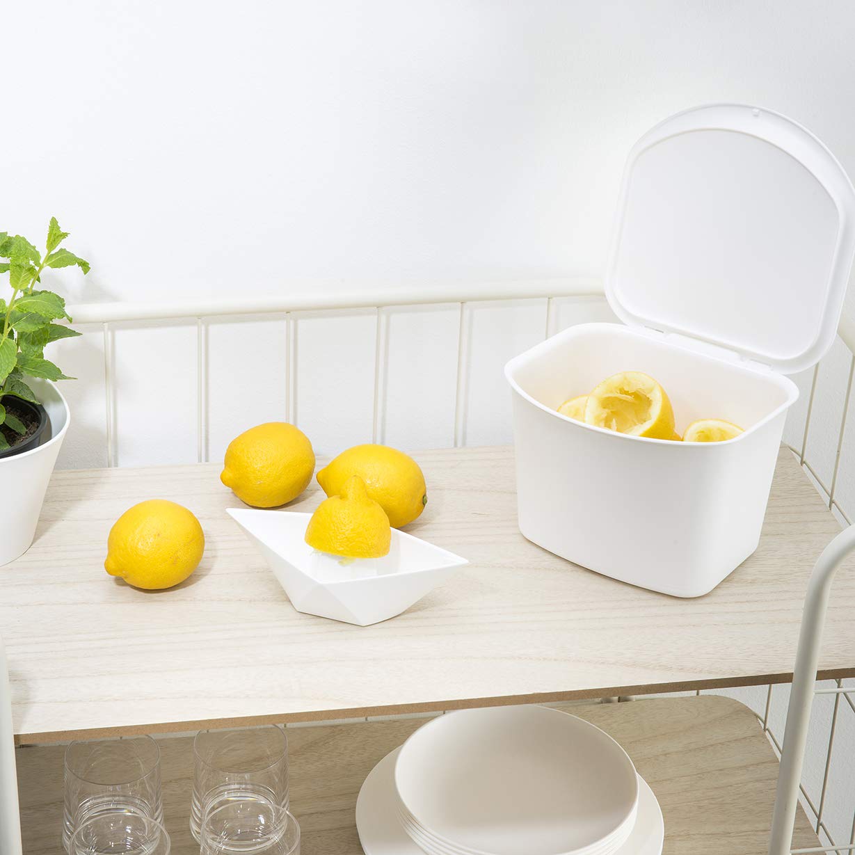 Koziol Bibo Organic Waste Bin, One Size, Cotton White