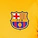 Nike 2015/16 FC Barcelona Pre-Match Training 2 Soccer Jersey (Large)