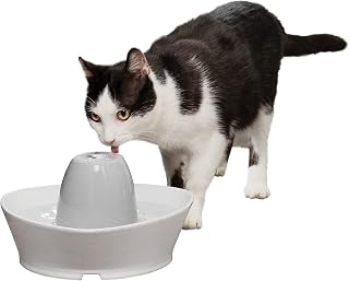 PetSafe Creekside Ceramic Pet Fountain – for Cats and Small Dogs – 60 Oz Water Capacity – Whisper-Quiet Water Flow – Great for Shy or Timid Pets – Fresh, Filtered Water,White