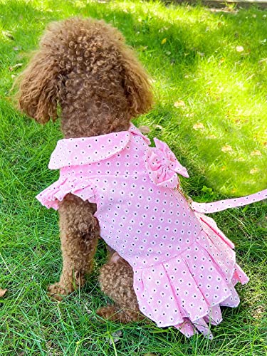 Qwinee 2Pcs Dog Dress Harness & Leash Set Daisy Bow Pleated Dog Dresses With D Ring And Leash For Small Medium Female Dogs Cat Puppy Kitten Pink Xxl #TOP2