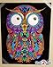 Baby Owl - Fuzzy Coloring Poster for Kids, Toddlers, Kids, Teens and Adults [Beautiful Arts and Crafts Project for All Ages] Arrives Uncolored