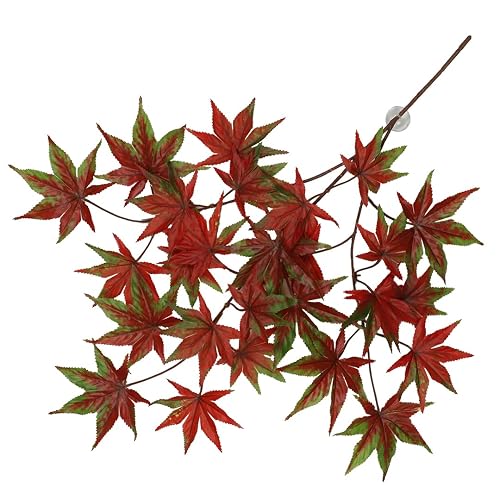 Terra Della, Planta Colgante Cannabis 65x40x5cm Rojo, Reptil, Rojo, Reptiles
