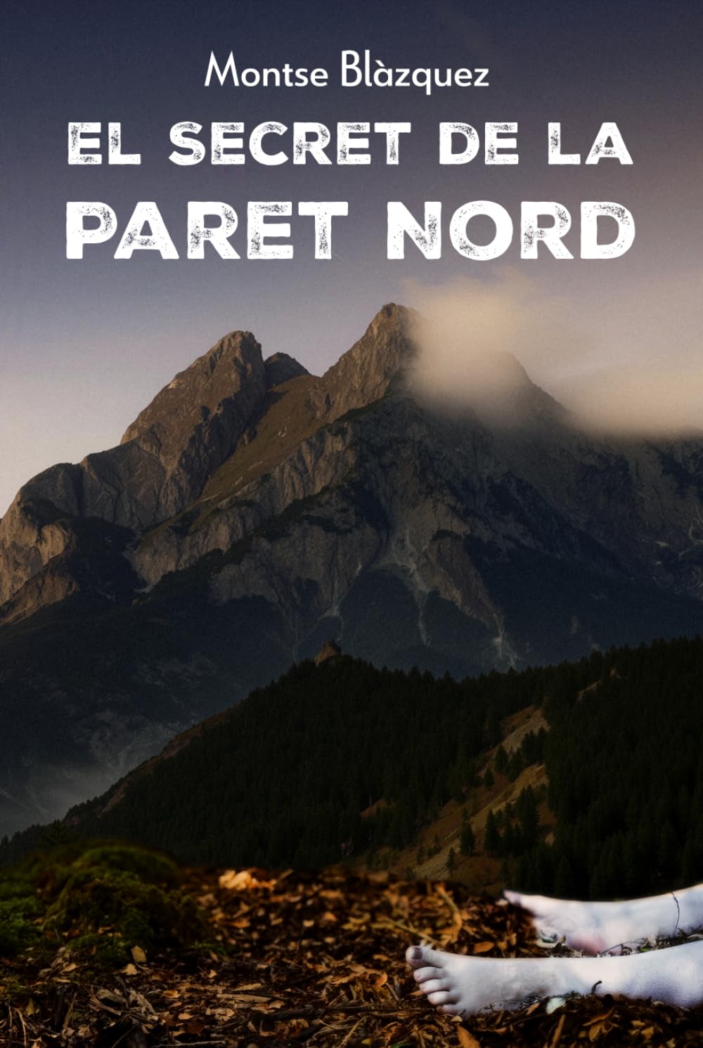 EL SECRET DE LA PARET NORD