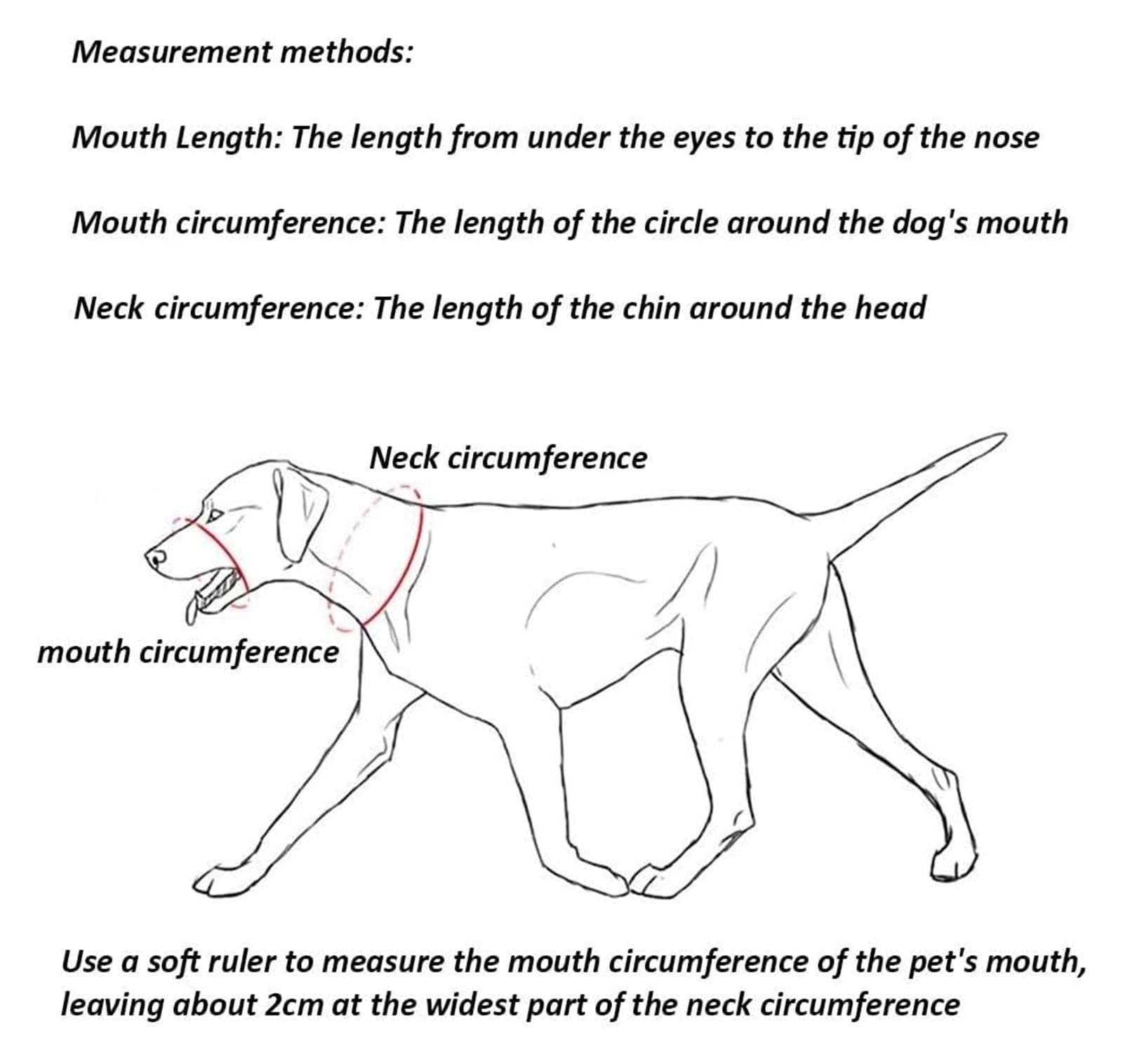 Museruola per cani, museruola multifunzionale per addestramento cani, museruola regolabile in pelle per cani di taglia media e grande (L)