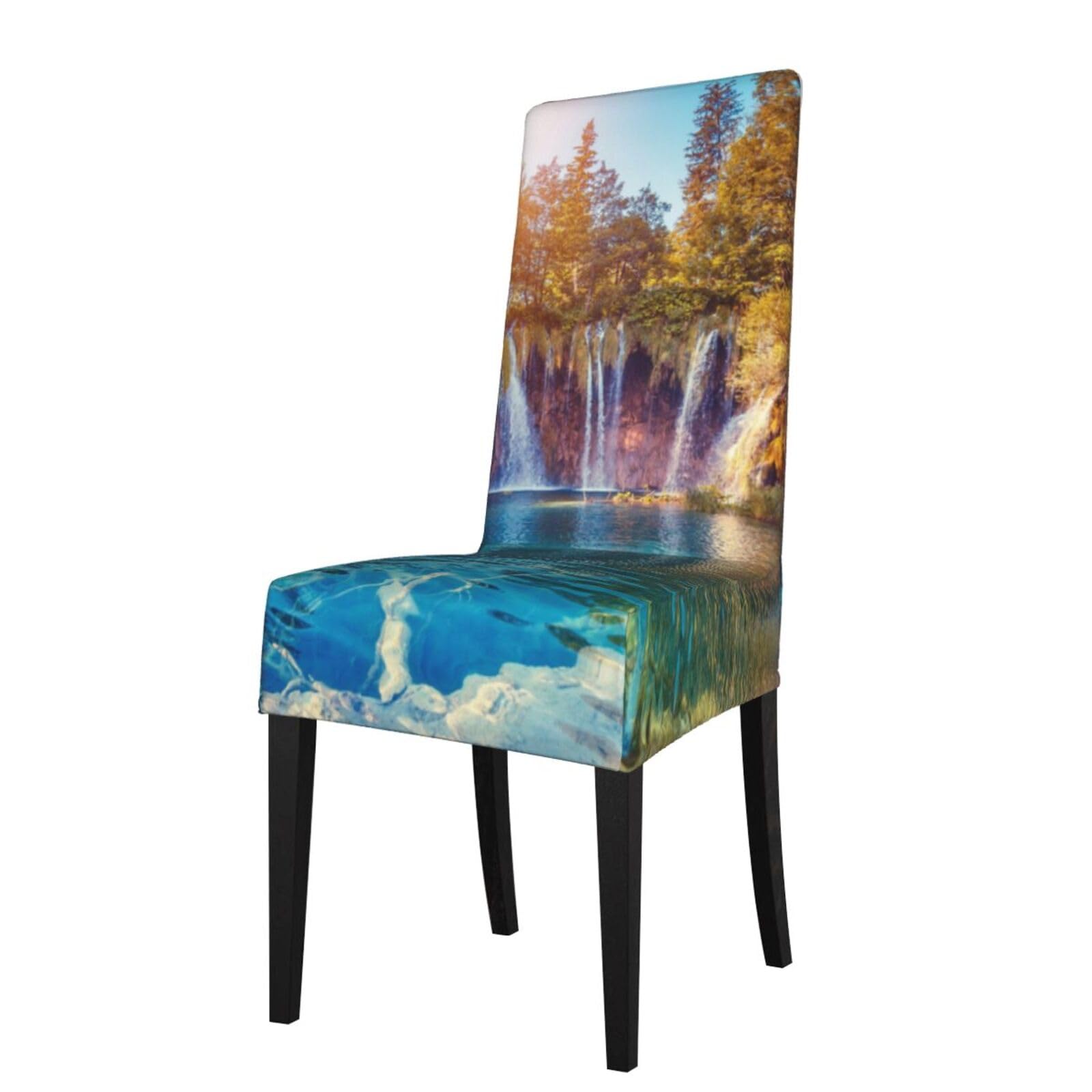 Housses de chaise extensibles BONDIJ pour protéger des taches facilement