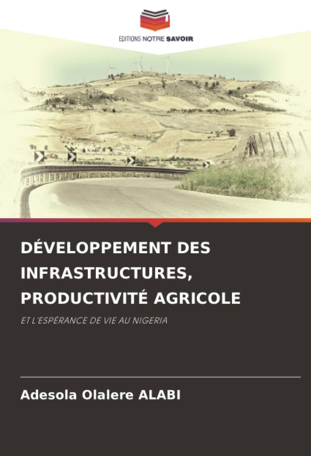 DÉVELOPPEMENT DES INFRASTRUCTURES, PRODUCTIVITÉ AGRICOLE: ET L'ESPÉRANCE DE VIE AU NIGERIA