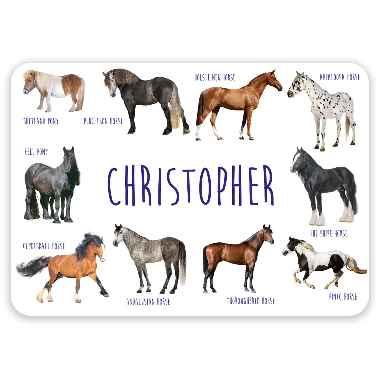 Paper Themes Personalised Placemat for Kids (Horses)