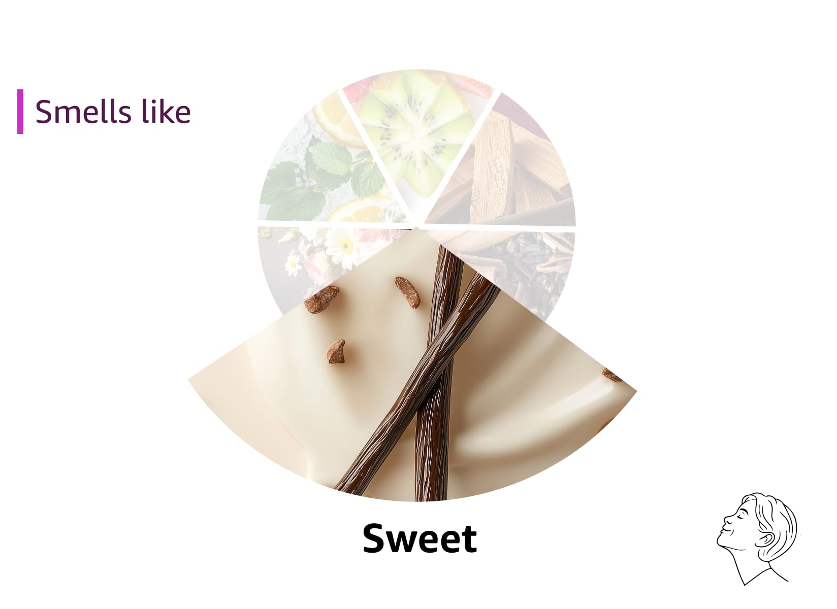 Victoria's Secret Pure Seduction Fragrance Body Lotion (8 oz): Vanilla & Dreamy 8 Fl Oz (Pack of 1)