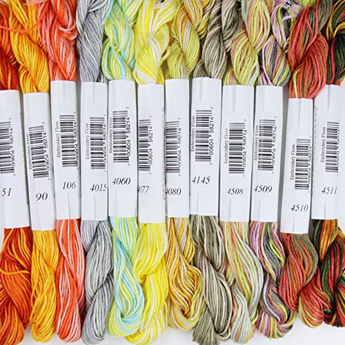 Image of KCS Big skeins of 25 Meters Size 25 Color Variegated Cross Stitch Stranded Threads,12 skeins,09