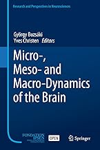 Micro-, Meso- and Macro-Dynamics of the Brain (Research and Perspectives in Neurosciences) (English Edition)