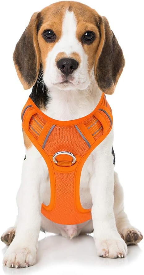 barkbay no pull dog harness