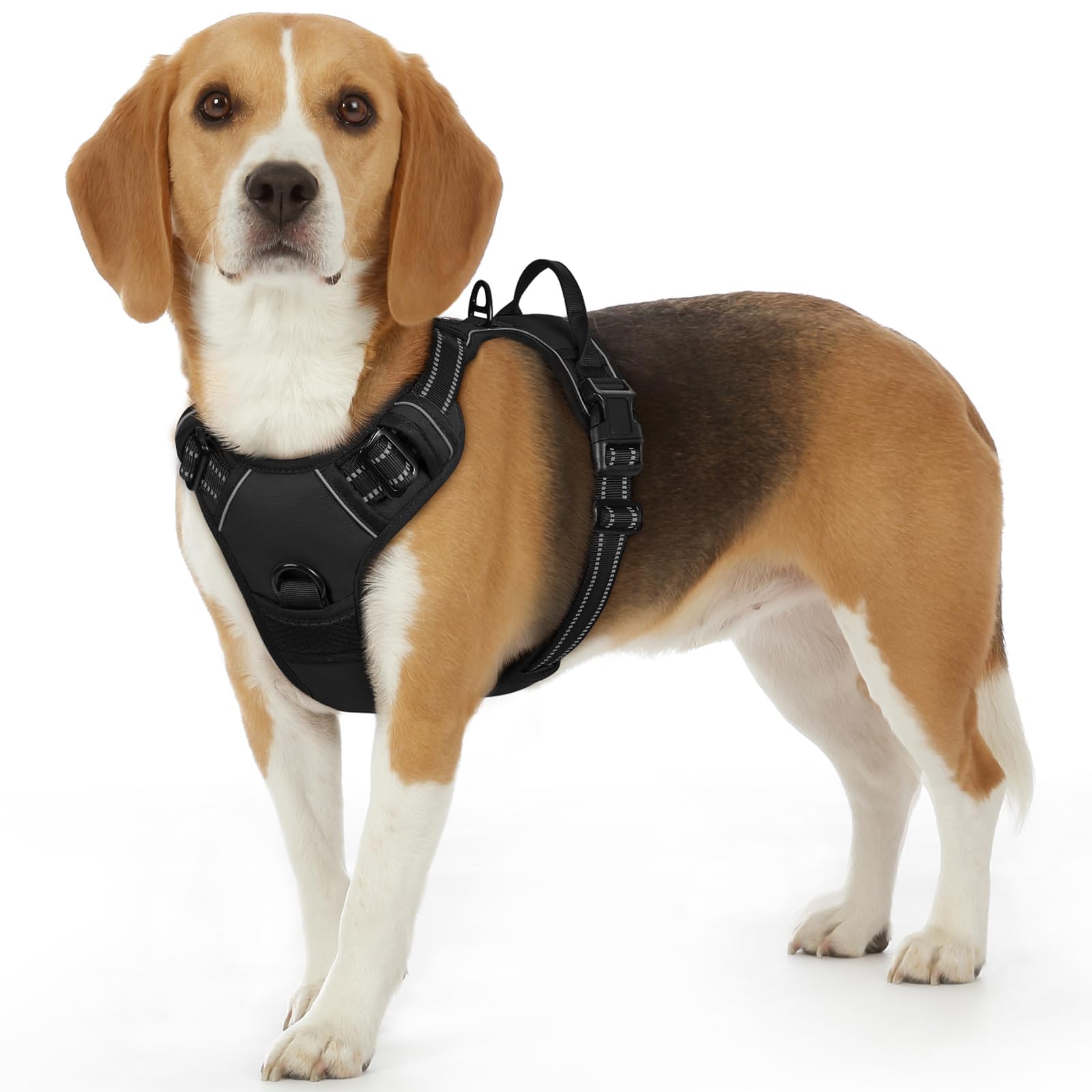 Eagloo Pettorina Cane Taglia Piccola, Pettorina ad h Antifuga, Imbracatura per Cani Anti Tiro con Doppio Gancio, Imbracatura Robusto e Regolabile per Addestramento Passeggiate, S, Nera