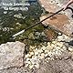 Half Off Ponds CleanSweep 1400 Teichsauger mit einem 33 cm Ansaugschlauch, 4 Verlängerungsrohren, 3 Vakuumdüsen, einem 1,8 m Langen Ausgangsschlauch und einem Schmutzfangbeutel