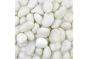 2LB Polished White River Rock Pebbles: The Essence of Pristine Beauty for Landscaping and Decor