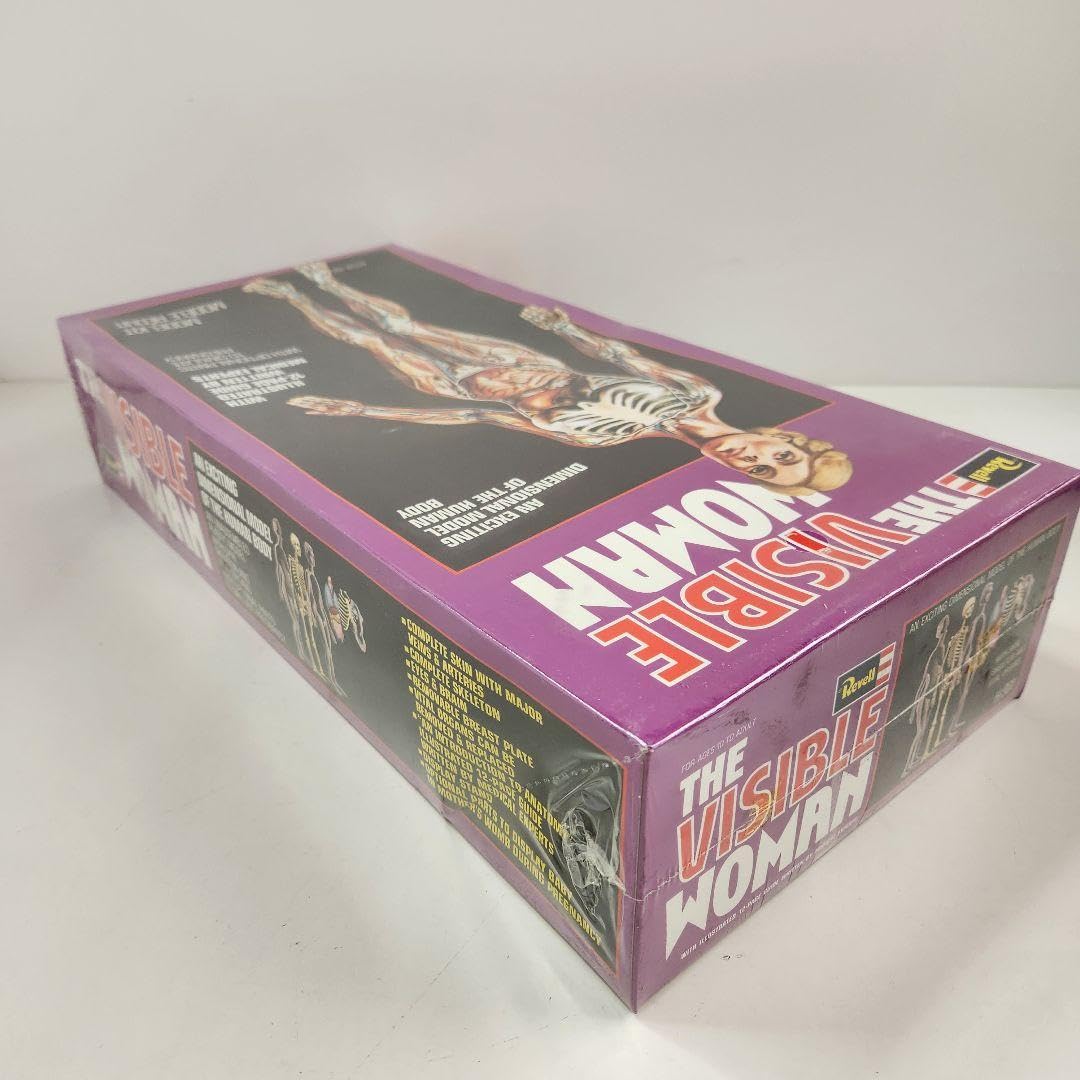Amazon.co.jp: Revell THE VISIBLE WOMAN 女性人体模型 ② : 文房具