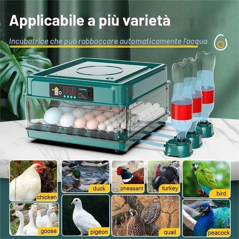 Incubatrice Professionale a LED Per Uova Con Sistema Di Ribaltamento Automatico E Controllo Della Temperatura - 9/15 (9 Pezzi
