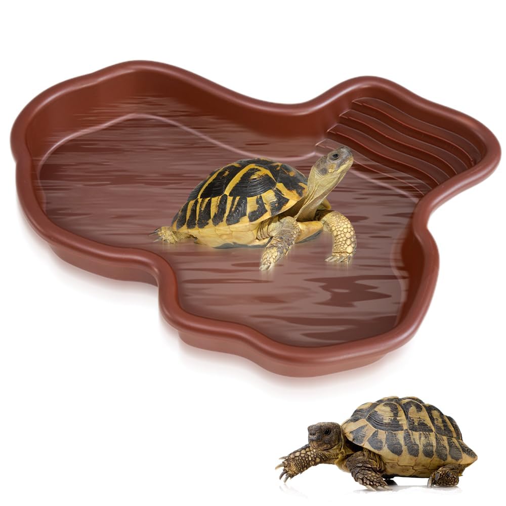 Bassin pour Reptiles, Bol d'Eau pour Tortue, Bol d'Eau et Nourriture pour Reptiles, Bassin de Bain pour Reptiles