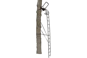 BIG GAME Treestands Vital 6.5 2-Person Climbing Treestand