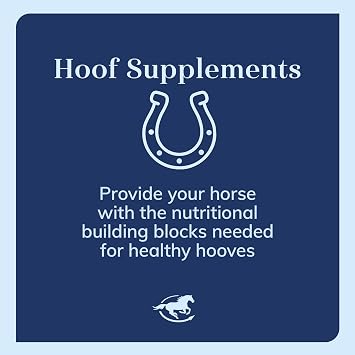 SmartEquine LaminOX Powder | Hoof Support for Horses | Supports Healthy Laminae | Horse Supplement for Circulation, Hoof Health, and Growth | 3.3 lb