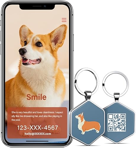 Miniatura 4 de Etiquetas de perro personalizadas para mascotas, etiquetas de perro personalizadas con nombre de perro, código QR, etiquetas de identificación de
