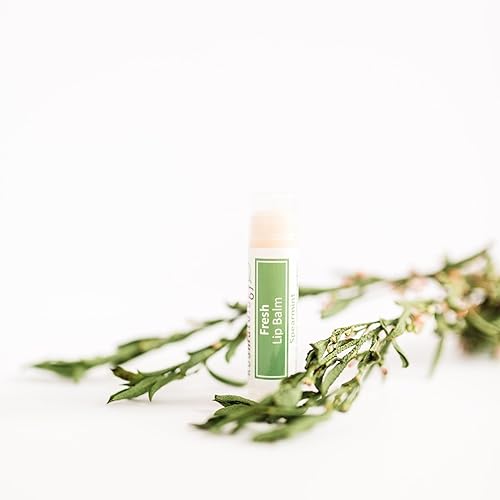 Miniatura 4 de Bálsamo labial orgánico de menta verde, paquete de 4 unidades, sin cera de abeja, vegano, 100% natural hidratante para labios agrietados y secos