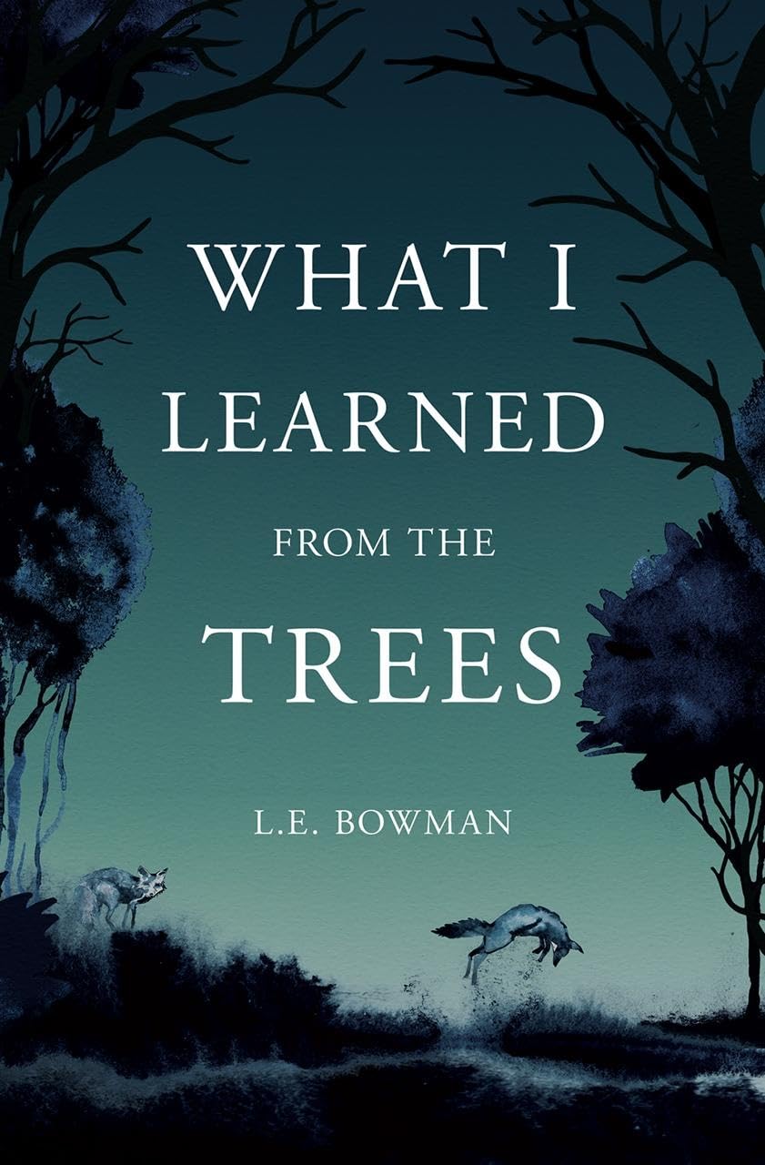 WHAT I LEARNED FROM THE TREES