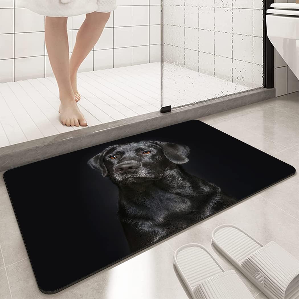 Black Lab Bath Mat Non Slip Washable, Dog Labrador Retriever Bathroom Rugs for Shower Room Bathtub, 17"x24"