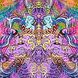 The Geneva Art Collective