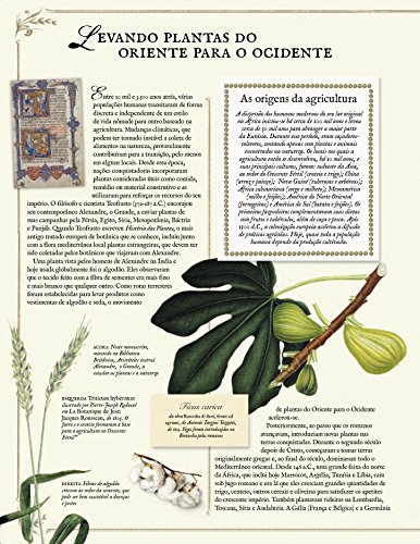 Os Caçadores de Plantas