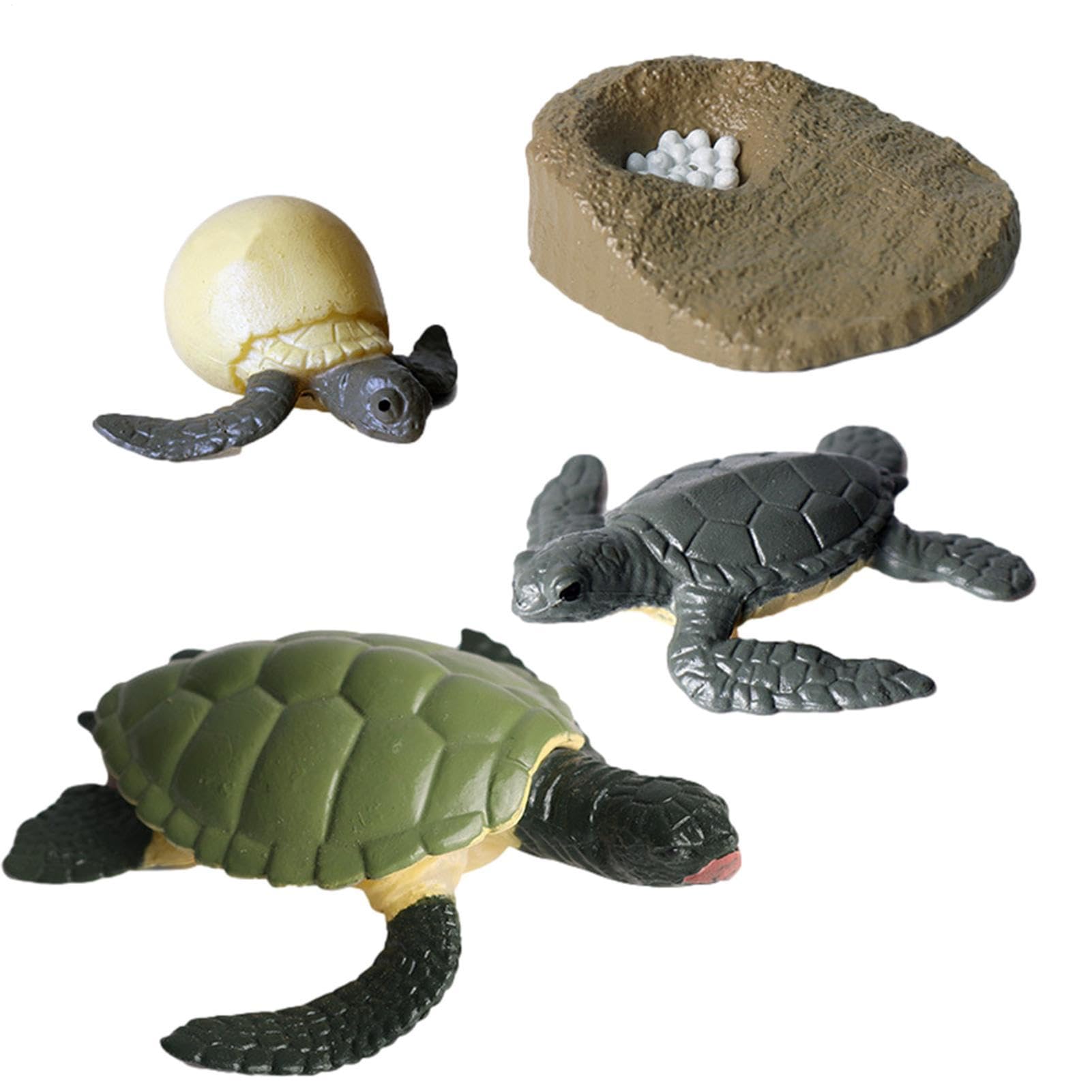 Insectss Life Cycle Figurines - Educational Biological Growth Stages, Realistic Hand-Painted Learning Models, Durable Odourlesss PP Plasticss Build, 4 to 5 Piece Development Sets - for Kids 3 Years — view 13
