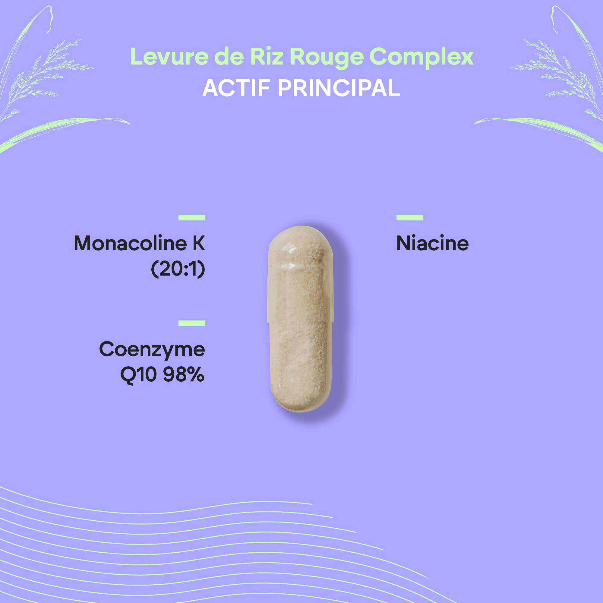 LEVURE DE RIZ ROUGE 2,9mg Monacoline K + Q10 + Vit C E - Levure de riz rouge - 90 Gélules Vegetales Nutralie