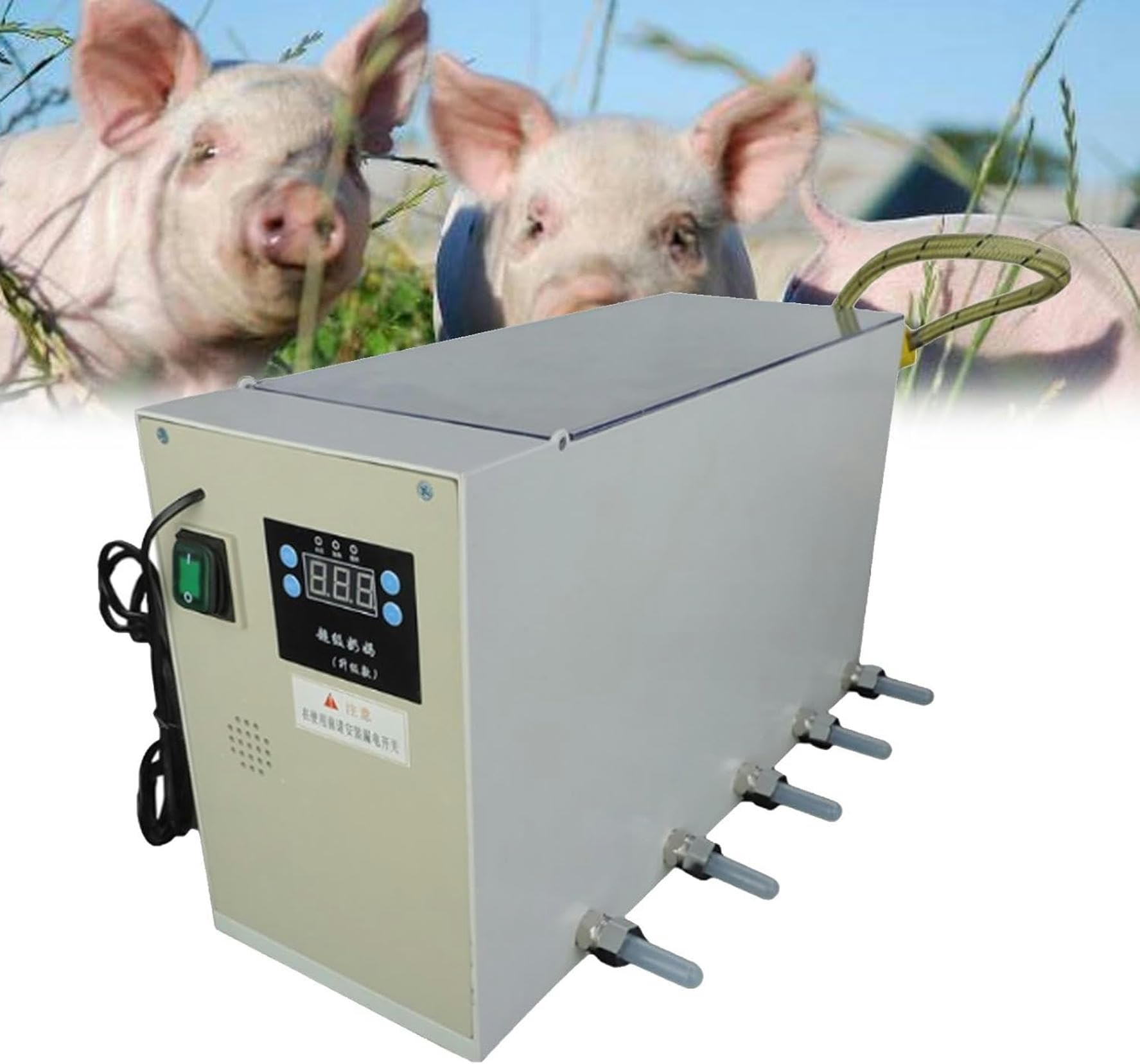 Mangeoire à lait de porc 10 mamelons pour stopper l'agitation des porcelets