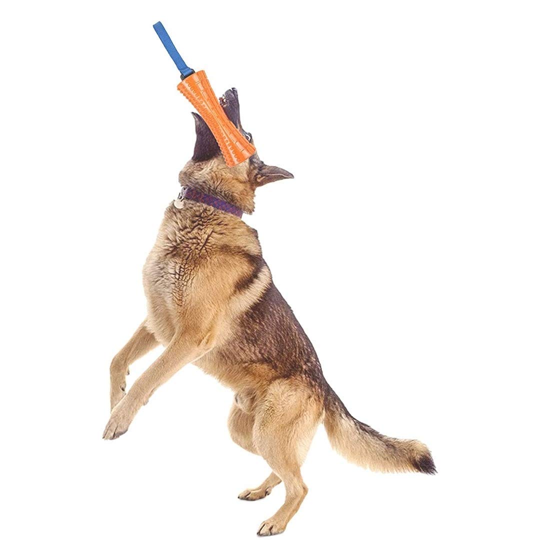 RvPaws Squeaky Dumbbell Natural Rubber Dogs Teething and Training Chew Toy with Handle for All Breeds Dogs Small,Medium & Large (Colour May Vary) (B08NPF9FPR) Amazon Price History, Amazon Price Tracker