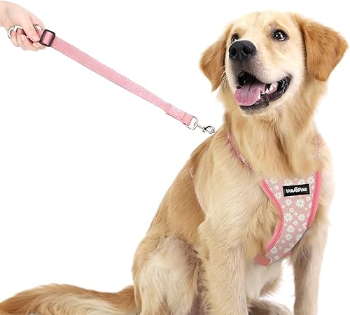 Miniatura 10 de VavoPaw Arnés de chaleco de seguridad para vehículos para perros, ajustable, de malla acolchada suave, con correa de viaje y mosquetón para la