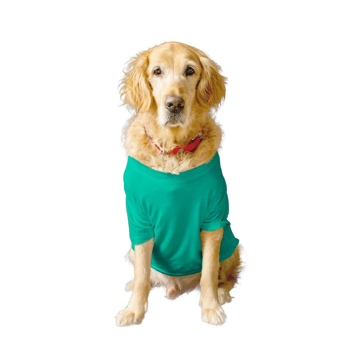 Basic Summer Dog T-Shirt Solid Pets Crew Neck Half Sleeves Shirt/Apparel/Clothes/Tees Gift for Dogs(Aqua Green) /X-Large (Full Grown Retrievers, Labs etc.)