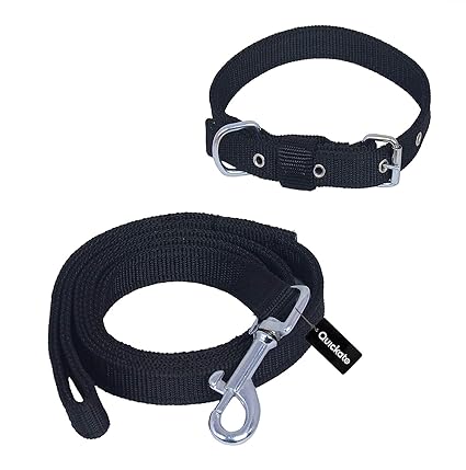 Quickato Dog Belt Combo Collar with Dog Leash, Adjustable Dog Collar & Leash (Pack of 1, 37-45, Black)