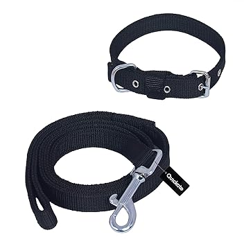 Dog Belt Combo Collar with Dog Leash, Adjustable Dog Collar & Leash (Pack of 1, 37-45, Black)