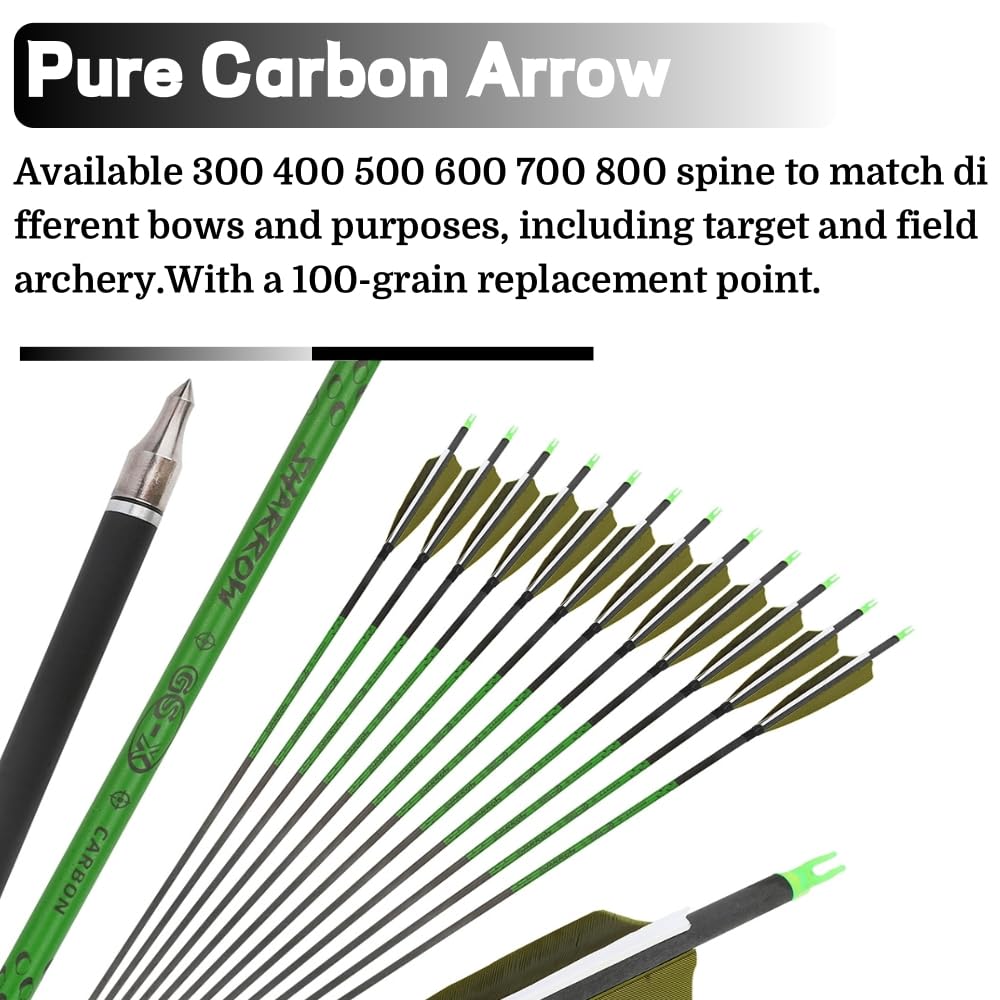 Flèches en Carbone Pur 6/12 pièces 31,5 Pouces, ID 6,2 mm, flèches à Plumes de dindon Naturelles,ompatibles arcs recurve et arcs à poulies pour Chasse et tir sur Cible