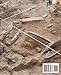 Unveiling the Mysteries: An Introductory Archaeology Guide: Journey into the Ancient Past: A Comprehensive and Engaging Introduction to Archaeology