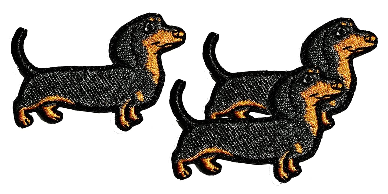 4 Pezzi Toppe Termoadesive Cane Husky Ricamate - Applique Per Abiti, Zaini, T-Shirt, Jeans - Ricamo Cute Con Istruzioni Per Stirare - 3